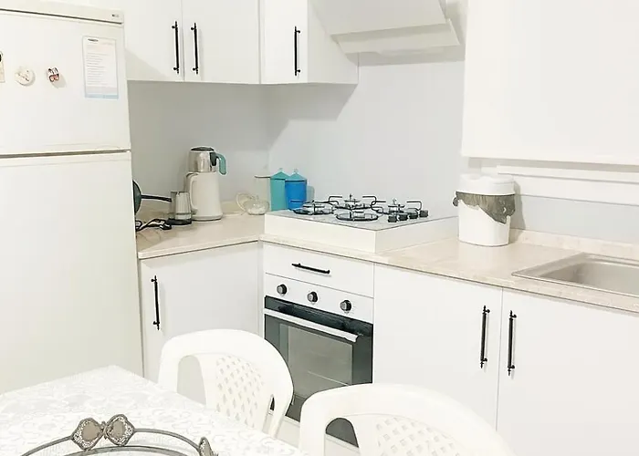 Olive Case de vacanță